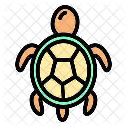 Sea Turtle  Icon