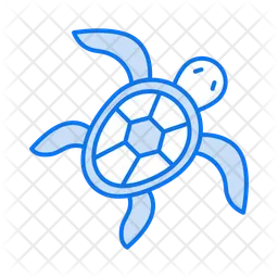 Sea turtle  Icon