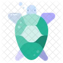 Sea Turtle Shell Animal Icon