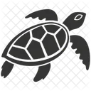 Sea Turtle Marine Reptile Shell Icon