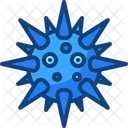 Sea urchin  Icon