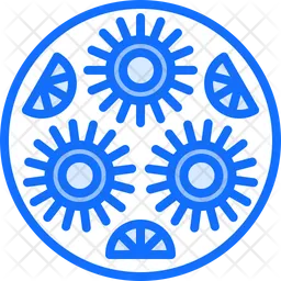 Sea Urchin  Icon