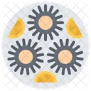 Sea Urchin Sea Urchin Icon