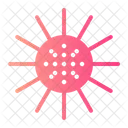 Sea Urchin Urchin Ecology And Environment Icon