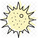Sea Urchin Sea Urchin Icon