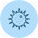 Sea Urchin Sea Urchin Icon