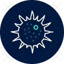 Sea Urchin Sea Urchin Icon