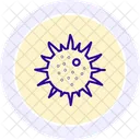 Sea Urchin Sea Urchin Icon