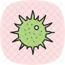 Sea Urchin Sea Urchin Icon