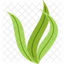 Sea Weed Aquatic Animal Icon
