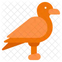 Bird Seabird Nature Icon