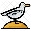 Seagull Gull Bird Icon