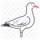 Seagull Bird Seabird Icon