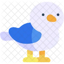 Seagull  Icon