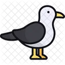 Seagull  Icon