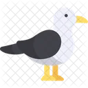 Seagull Seabird Wildlife Icon