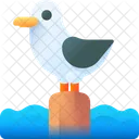Seagull Bird Seabird Icon
