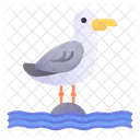 Seagull Bird Animal Icon