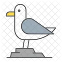 Seagull  Icon