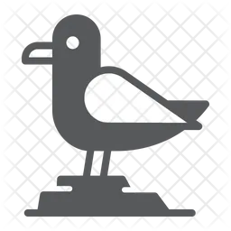 Seagull  Icon