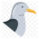 Seagull Seabird Birds Icon
