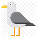 Seagull Bird Travel Icon