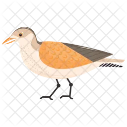 Seagull  Icon