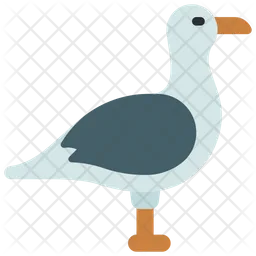 Seagull  Icon