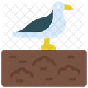 Seagull Bird Landfill Icon