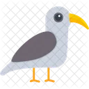 Seagull Bird Flying Icon