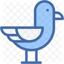 Seagull Fauna Bird Icon