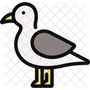 Seagull Gull Seabird Icon