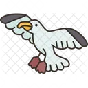 Seagull Bird Sea Icon