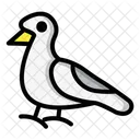 Seagull  Icon