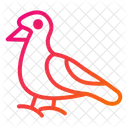 Seagull Bird Animal Icon