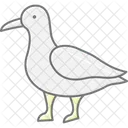 Seagull Bird Beach Icon