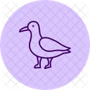 Seagull Bird Beach Icon