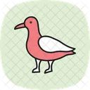 Seagull Bird Beach Icon