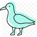 Seagull Bird Beach Icon