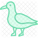Seagull Bird Beach Icon