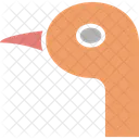 Seagull Bird Gulls Icon