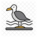 Seagull Summer Vacation Icon