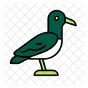 Seagull Summer Vacation Icon