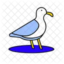 Seagull Summer Vacation Icon