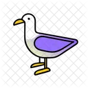 Seagull Summer Vacation Icon