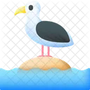 Seagull Bird Seabird Icon