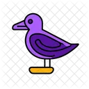 Seagull Summer Vacation Icon