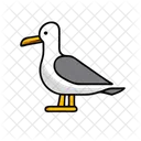 Seagull Summer Vacation Icon