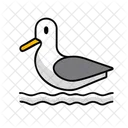 Seagull Summer Vacation Icon