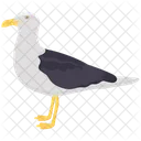 Seagull Stork Gull Icon